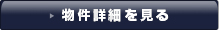 詳細を見る
