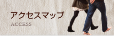 アクセスマップ